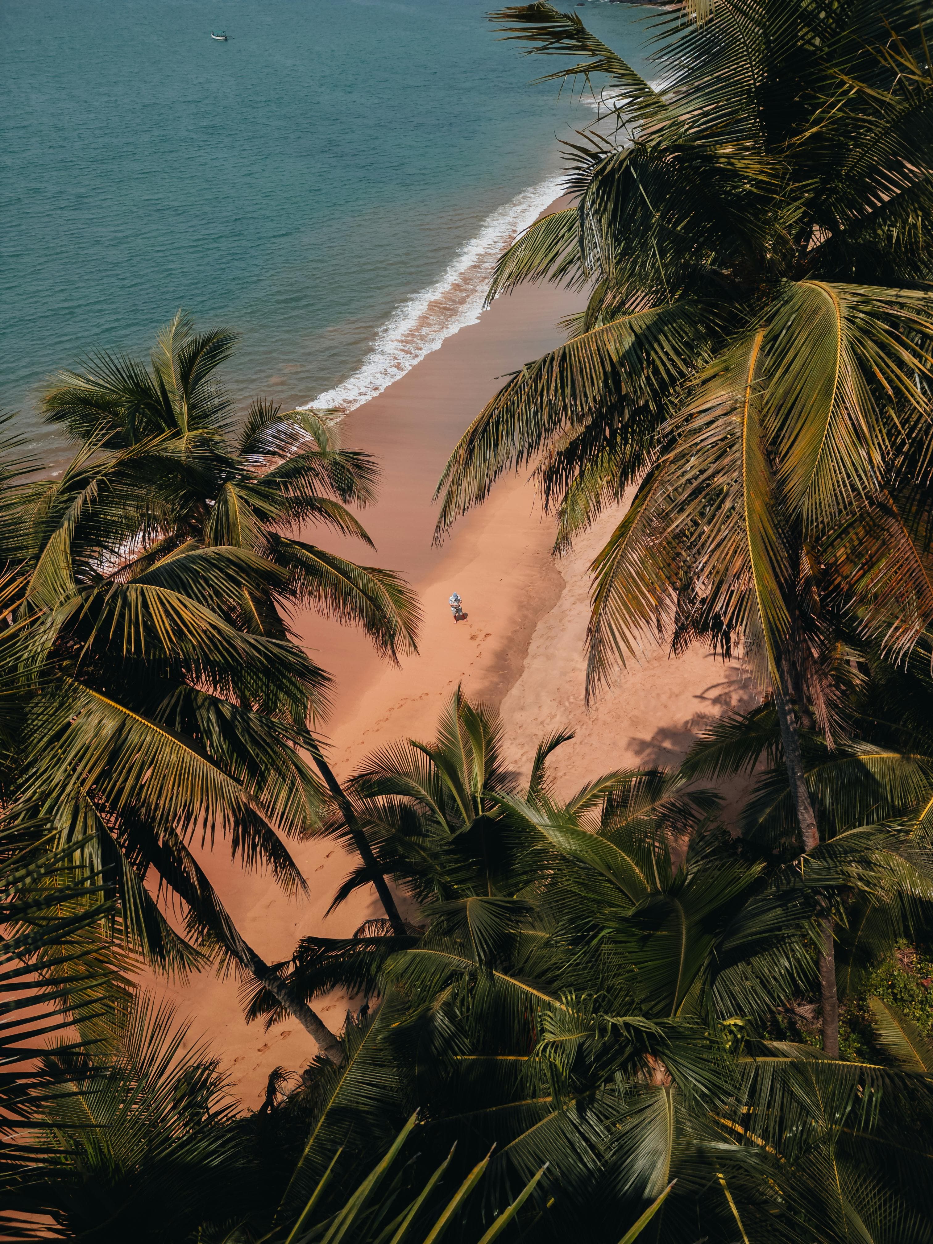 A stunning view of Vagator beach in Goa at sunset